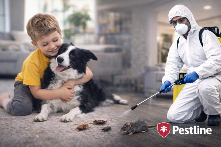 İlaçlama Öncesi ve Sonrası Yapılması Gerekenler (Hazırlık Rehberi)