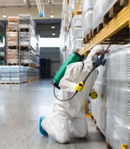 Fare & Sıçan Kontrolü