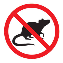 Fare ve Kemirgen İlaçlama