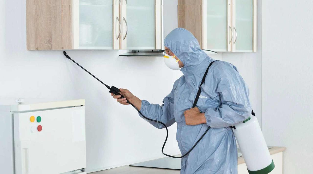 Profesyonel Haşere & Zararlılarla Mücadele ve İlaçlama Hizmetleri