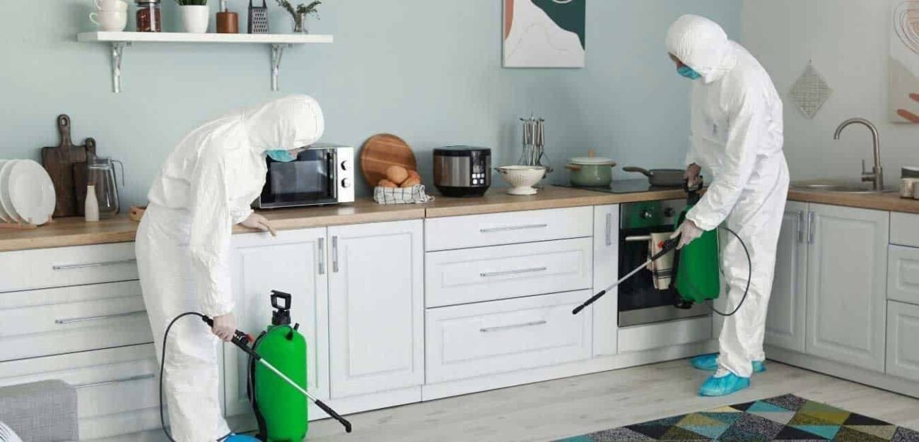 Ne Zaman Profesyonel İlaçlama Alınmalı