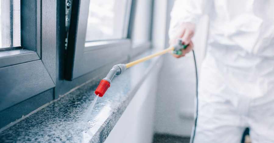 İlaçlama Öncesi ve Sonrası Yapılması Gerekenler