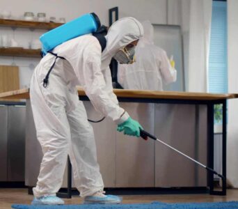 İstanbul Avrupa Yakası Fare İlaçlama Hizmetleri