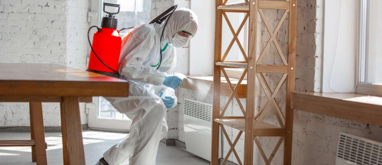 İstanbul Böcek İlaçlama Hizmetleri