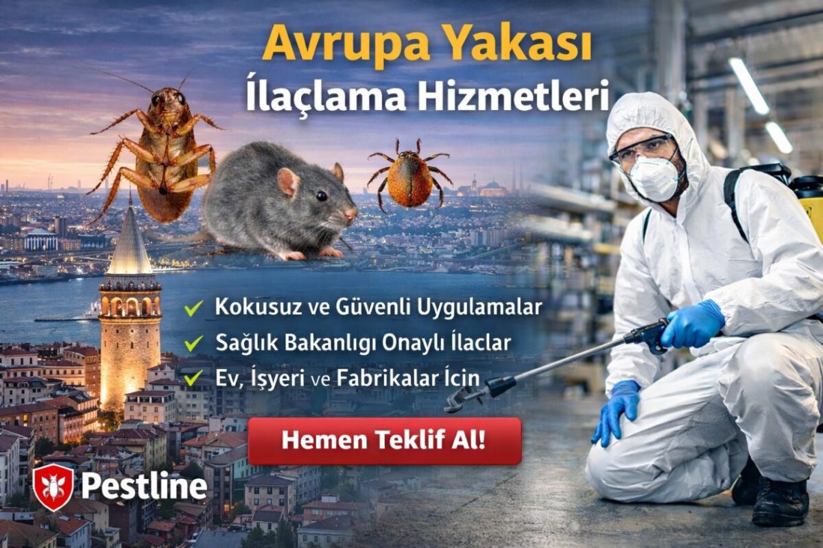 İstanbul Avrupa Yakası İlaçlama | Profesyonel Böcek ve Haşere İlaçlama Hizmetleri